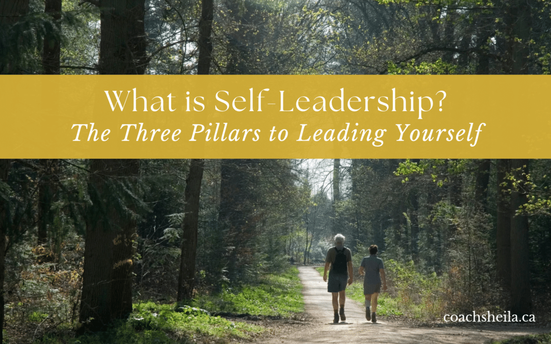 What Is Self-Leadership? The Three Pillars of Leading Yourself
